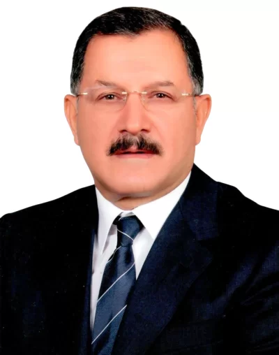 Av. Mehmet Doğan, Danışman
